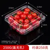 Caja de Embalaje Desechable para Frutas con Tapa, Caja Transparente para Empaque de Tienda de Frutas de Fresas y Arándanos, Caja de Plástico PET de Grado Alimenticio