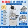 Venda Direta de Fábrica Máquina de Parafusar, Travamento Automático de Parafusos para Válvulas de Queimadores, Máquina de Travamento Automático de Parafusos, Travamento de Precisão com Servo