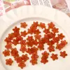 Piezas de Flor de Cinco Pétalos de Acrílico, Pétalos de Color Macarrón, Pulseras de Abalorios Hechas a Mano para DIY, Accesorios de Joyería, Paquete de Materiales