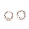 Estilo coreano Estilo coreano Estrela elegante Mesmo estilo Micro-incrustado Brincos redondos Ouro e prata Duas cores 925 e Agulha de prata Brincos femininos Presente