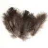80 Tipos de Penas Naturais de Faisão, Penas Reais, Decorações Nativas Americanas, Acessórios DIY, Acessórios de Cabelo, Peças para Brinquedo de Vara para Gato