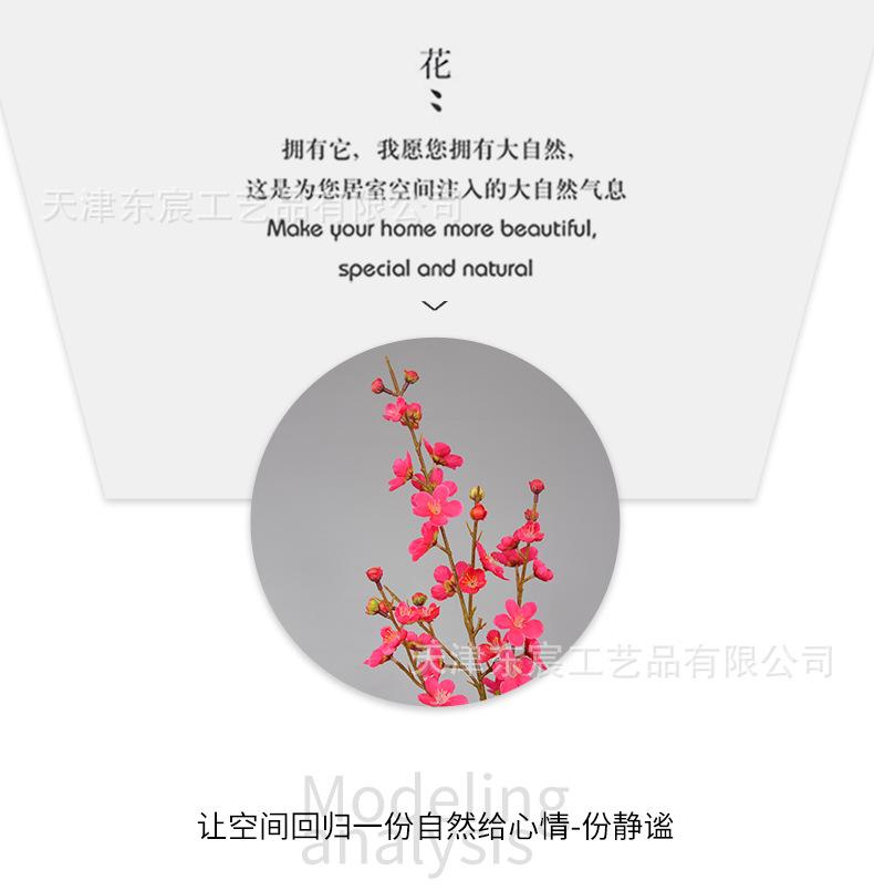 详情_05.png
