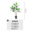 Suministro directo de fábrica planta verde de celebridad de internet bonsái planta artificial decoración nórdica interior bonsái sala de estar árbol artificial árbol de caucho