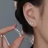 Una Fila de Pendientes de Circonita para Niñas, Lujo Accesible Diseño de Nicho, Pendientes de Gama Alta Nuevo Estilo Caliente 2025 Pendientes Estilo Hong Kong