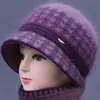 Chapéu de Lã Tricotado para Mulheres de Meia-Idade e Idosas no Inverno Chapéu de Vovó com Forro de Veludo Espesso Proteção contra Frio Chapéu de Algodão Quente