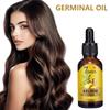 Solución de Tratamiento para el Cabello de Jengibre Eelhoe Suave Nutritiva Cabello Liso Cabello Seco Solución de Cuidado Diario
