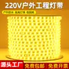 Fita de LED flexível para uso doméstico, fileira dupla 120 luzes, alta voltagem 220V, à prova d'água, fita de LED para exterior com luz suave ultra brilhante