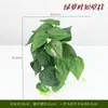 Enredadera Artificial de Pared, Material de Acompañamiento para Paredes de Plantas,