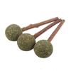 Chupetín de Hierba Gatera Jingxiu Bola de Pelo Palo Limpiador de Dientes para Gatos Soporte Hierba Gatera Natural Polygonum Karmicum Snacks para Gatos