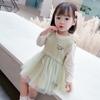 Conjunto de Vestido de Malla para Niñas, Estilo Primavera y Otoño, Moda Infantil, Conjunto de Dos Piezas de Vestido de Princesa para Niñas Pequeñas, Atuendo de Primavera para Niños Pequeños