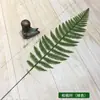 Folhas artificiais folhas verdes planta folha de tartaruga arranjo de flores adereços de jardim de infância cena peça única tapete de palha casamento Interior
