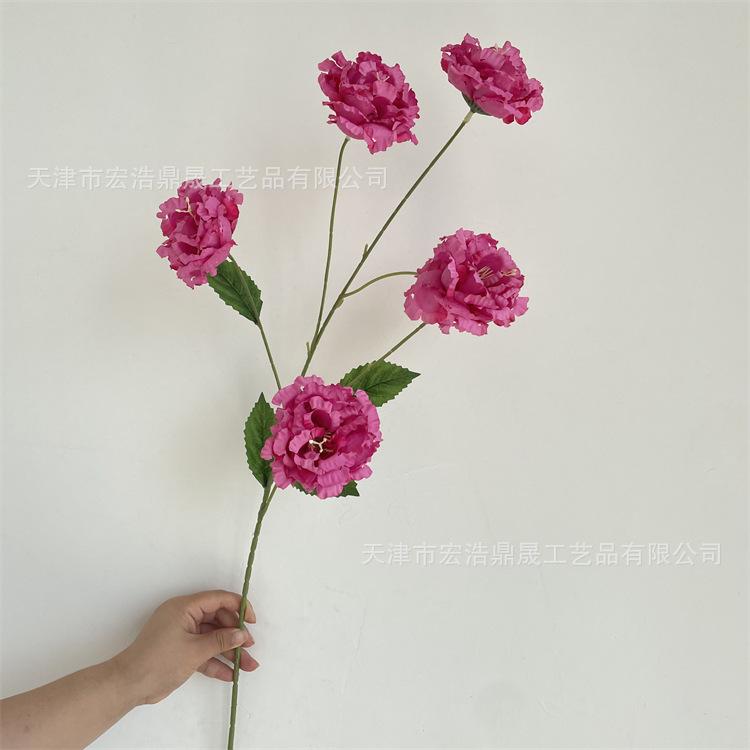 微信图片_202209091747471