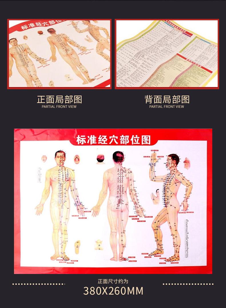 穴位图_02.jpg