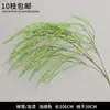 Plantas Verdes, Hierba de Junco, Hierba Bigote de Dragón, Fondo de Boda, Paisajismo de Ventana Floral, Flores Decorativas para Boda en Bosque Blanco y Verde