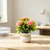 Venta Caliente en Amazon 5 Claveles Flor Artificial Planta en Maceta Estilo Nórdico Ins Decoración para Sala de Estar Dormitorio Flor Falsa Pequeño Bonsái