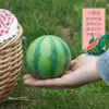 Frutas Simuladas, Modelos de Limón de Fruta Falsa, Accesorios de Fotografía de Manzana Falsa, Accesorios de Rama, Adornos Decorativos para Arreglo de Escena