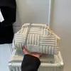 Bolso de Mano de Gama Alta de Nicho para Mujer 2026 Nueva Moda Versátil Cadena Casual Bolso de Concha