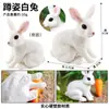 Set de Granja Modelo de Animales Escena Artificial Aves Pollo Pato Ganso Gato Perro Vaca Oveja Caballo Conejo Juguete Minifigura