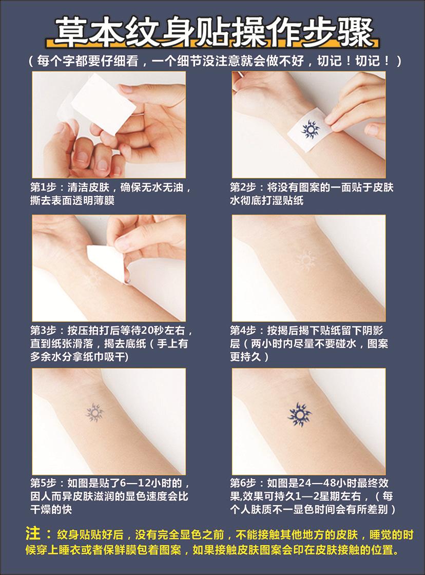 草本说明