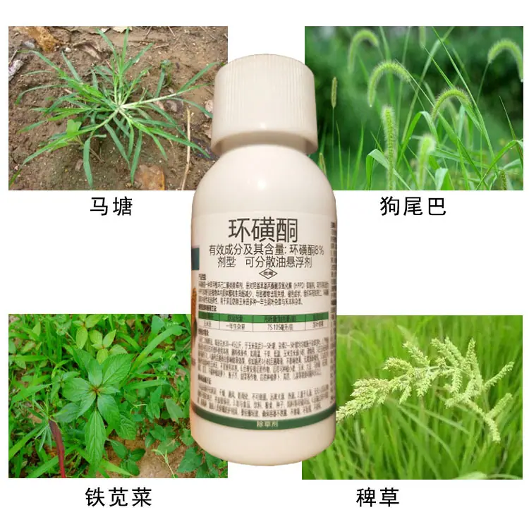 环磺酮4
