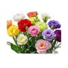 E-commerce Dropshipping de Sementes de Lisianthus para Uso Interno e Externo em Todas as Estações, Flores de Vaso Fáceis de Cuidar, Sementes de Flores Floríferas para Exterior