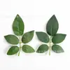 Productos de Venta Caliente Transfronterizos: Varios Estilos de Hojas de Rosa, Plantas Verdes Artificiales, Hojas de Plantas Acuáticas, Arreglos Florales Hechos a Mano para Bricolaje, Accesorios de Decoración para Paredes de Flores