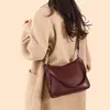 Bolso de Mano Nuevo Casual y Versátil 2025, Bolso de Hombro de Gran Capacidad, Bolso Cruzado, Bolso Pequeño de Moda para Mujer