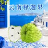 Fruta Mão de Buda de Yunnan Dropshipping 1 lb 2 lb 3 lb 2,5 kg Fruta Mão de Buda Pequena, Média e Grande, Fruta Fresca da Estação em Caixas de Papelão