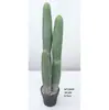 Cactus Pilares de Dragón Simulados Cactus Parásito Planta del Desierto Marroquí Decoración Suave para Paisajismo Modelo Decoración de Proyectos