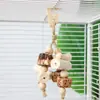 Juguete para Periquitos y Pájaros de Picotear Bola de Ratán Fruta Estrella Fruta Seca Decoración para Jaula Molienda de Pico de Pájaro Alivio del Aburrimiento Palo Masticable Educativo