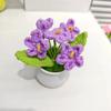 Regalo Día del Maestro Planta en Maceta de Nomeolvides Terminada Adornos Decoración Oficina Hogar Simulación Flor de Lana Tejida Planta en Maceta