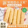 Milho polegar de Xishuangbanna refeição substituta para bebês pronto para comer espigas de milho pegajosas pequenas para crianças, pegajoso, branco, perfumado e delicioso