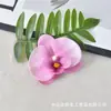 Flor de Orquídea Phalaenopsis Cabeça de Flor Simulação de Filme Impressa em 3D Flor Artificial Lembrancinhas de Festa de Casamento Decoração de Caixa de Doces Acessório de Cabeça DIY Presilha de Cabelo