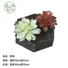 Planta artificial piedra loto maceta suculenta planta verde para decoración de sala de estar de hotel y casa de huéspedes, adorno de escaparate, suculenta artificial