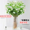 Flores Que Florescem por Muito Tempo e São Fáceis de Cultivar, Lírios, Sino dos Ventos, Flores de Corte Frescas, Plantas Hidropônicas de Cabelo Reto de Yunnan, Rosas, Arranjos de Flores de Interior