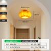 Luz de Pasillo Daguanyuan, Luz de Pasillo, Luz de Entrada, Luz de Escalera, Luz de Vestidor, Luz de Calabaza para Balcón, Luz de Techo 522L