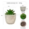 Planta en Maceta Artificial Mini Transfronteriza Hecha a Medida Adornos de Escritorio Bonsái Suculento de Simulación Flor Artificial Planta Verde Pulpa Suculenta Planta en Maceta