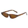 Gafas de Sol Triangulares Retro Estilo Cat-Eye, Personalizadas y de Moda, Gafas de Sol Pequeñas de Marco Trendy Europeas y Americanas para Mujer