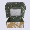 Cajas de Avión Coloridas Impresas por Ambos Lados Extra Resistentes, Cajas Corrugadas Grandes Personalizadas, Cajas de Cartón Blanco, Cajas de Embalaje Corrugado, Fábrica Personalizada