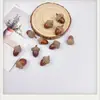 Pendientes de Planta Fruta Bellota Hechos a Mano DIY Fruta Pendientes Personalizados Creativos Material Chica Linda Pendientes Retro