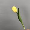 Tulipa Flor Artificial Flor Artificial Elegante Decoração Flor Artificial Atacado Buquê Artificial Ornamento Sente-se Hidratante Tulipas