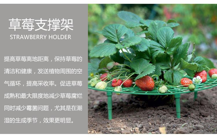 详情_03.jpg
