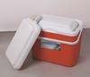 13L litro 33L litro exterior incubadora carro geladeira ao ar livre fresco caixa portátil saco de gelo impresso LG caixa takeaway