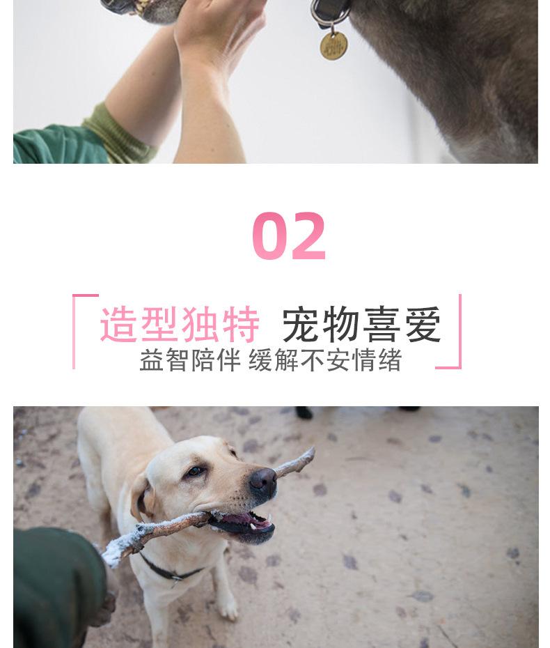 恐龙3详情页(1)_004.png