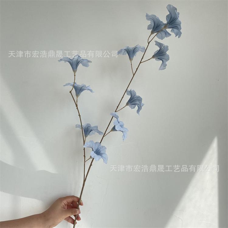 微信图片_20220908172823