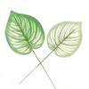 Tecido de Seda Simulado Folhas de Rabanete Verde Galho Único Estampa Branca Folhas de Flores Folhas Falsas Decoração de Planta Acessórios de Árvore Grande e Pequena Guanyin Gotejante