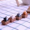 Gatos Fofos Buscam Criar Boneca Caixa Gato Boneca Micro Paisagem Mesa Pequenos Ornamentos Decorações de Plantas Suculentas em Vaso