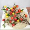 Simulação Casamento Único Decoração de Casa Sala de Estar Limão Maçã Árvore de Natal Fruta Fruta Falsa Fruta Silvestre Caqui Romã