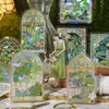 Paquete de Pegatinas de Luz de Concha Yi Niao Serie Sombra de Ventana Paisaje de Ventana Material Decorativo Creativo para Diario de Mano Pegatinas