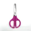 Tijeras Amazon Transfronterizas Modelo Nuevo con Escala, Tijeras Hechas a Mano, Tijeras para Estudiantes, Tijeras de Costura, Tijeras de Arte para Estudiantes, Tijeras de Oficina de Acero Inoxidable